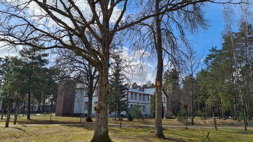 Aluksniesiem.lv raksta attēla aizvietotājs