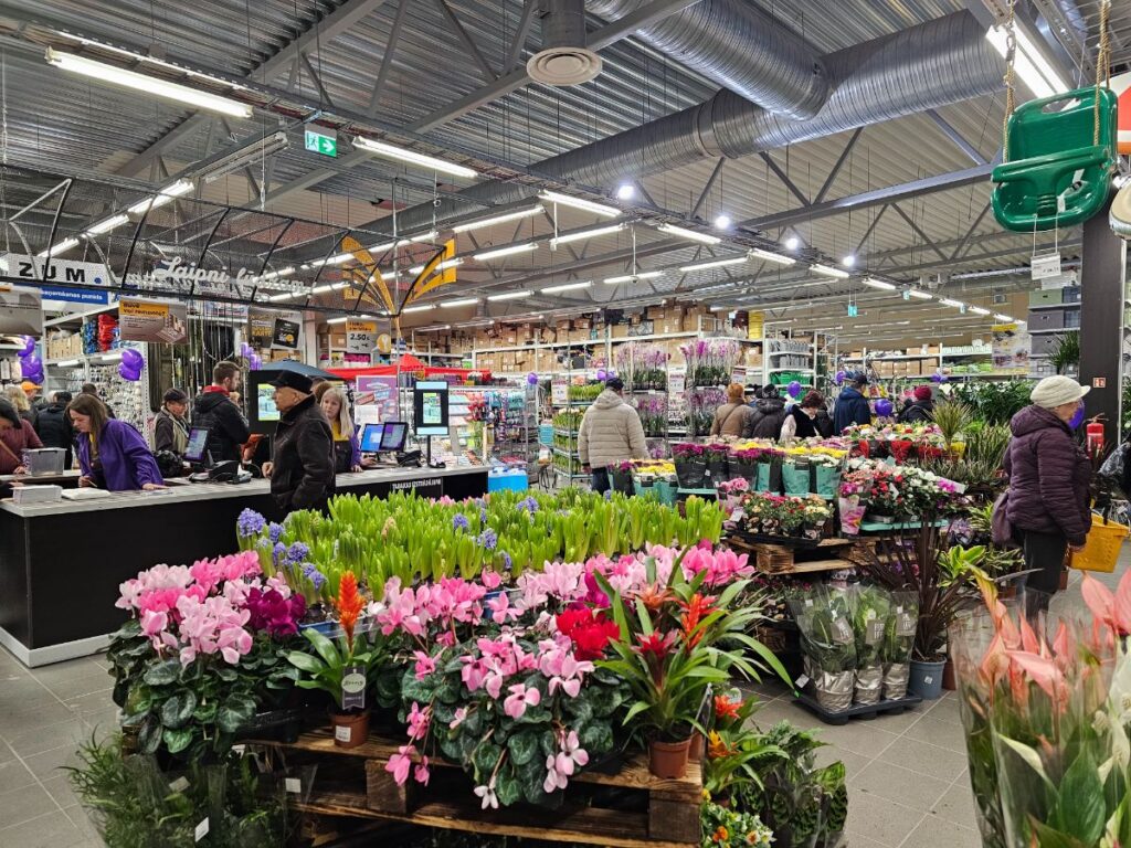 Autors: Foto: Līga Orleana