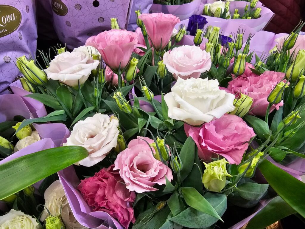 Autors: Foto: Līga Orleana