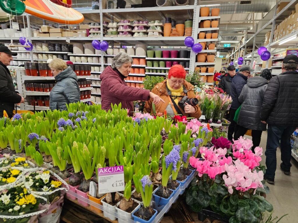 Autors: Foto: Līga Orleana