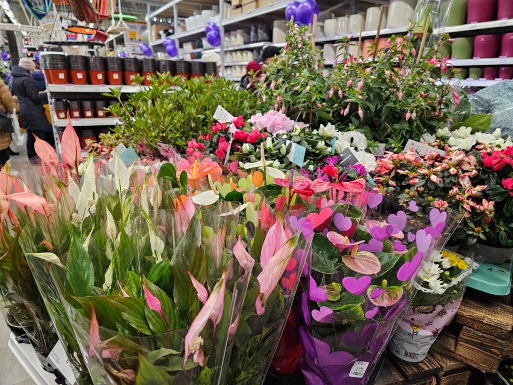 Autors: Foto: Līga Orleana