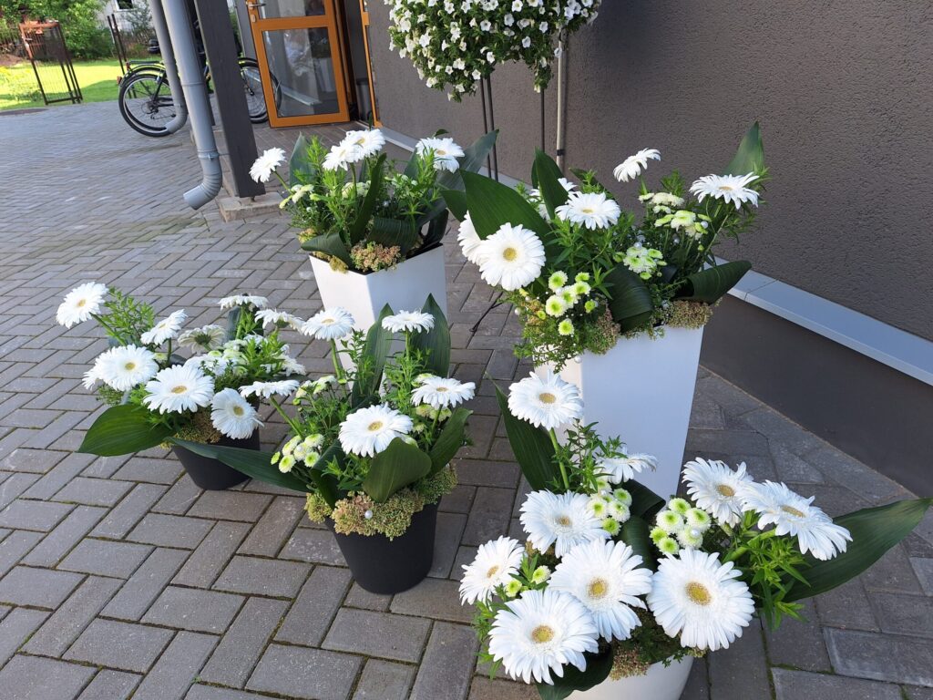 Autors: Foto: Ilze Fedotova