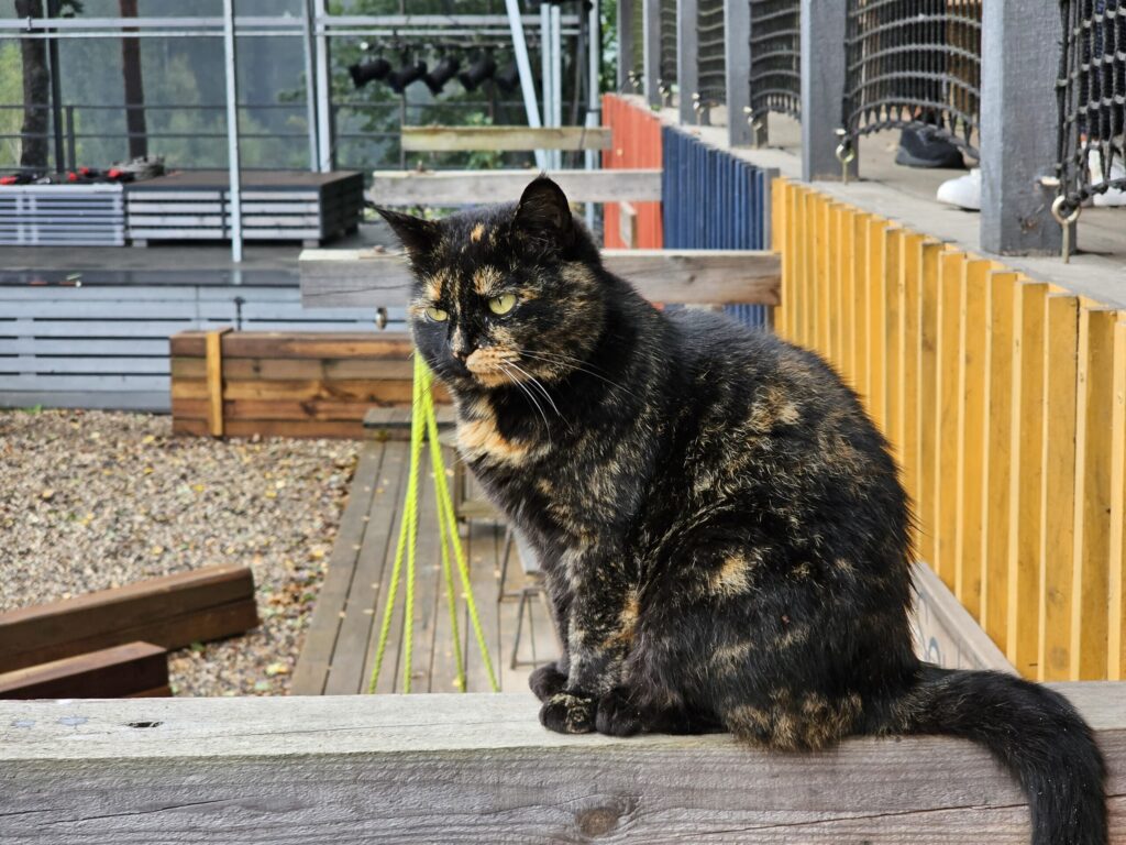 Autors: FOTO: Līga Orleana