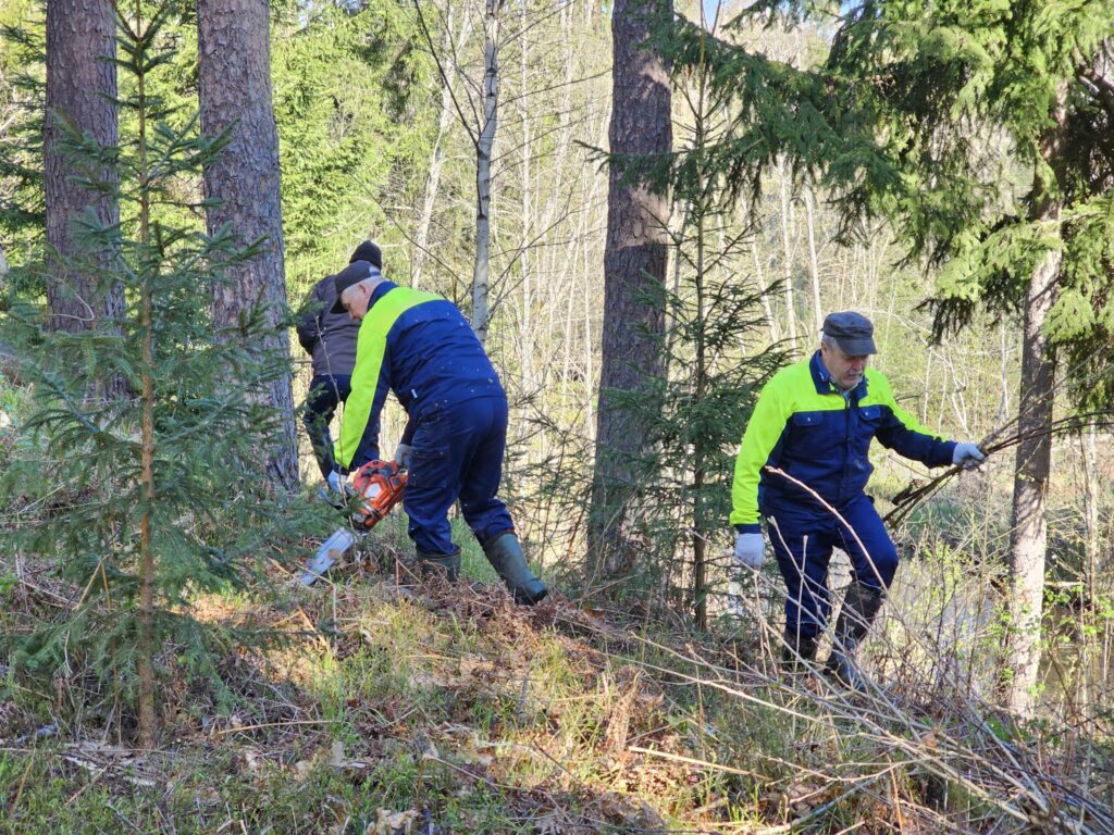 Aluksniesiem.lv raksta attēla aizvietotājs