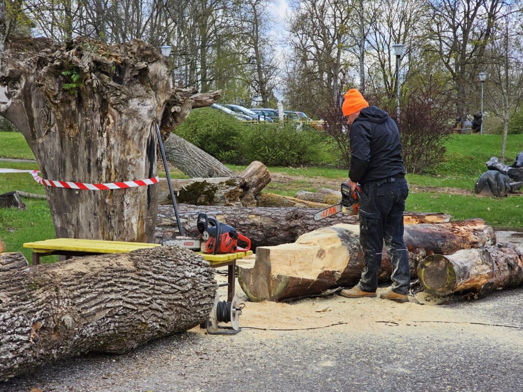 Autors: FOTO: Līga Orleana