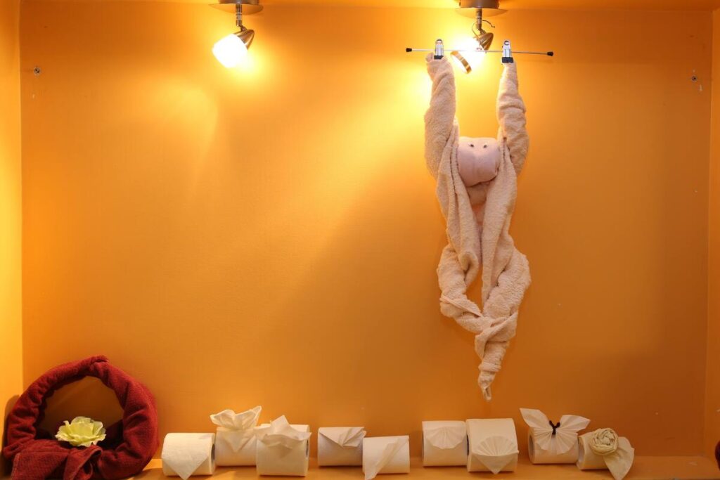 Autors: Foto: Guntis Viļums