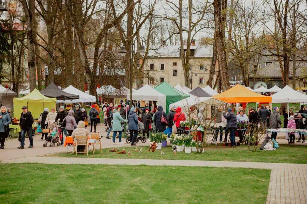 Aluksniesiem.lv raksta attēla aizvietotājs