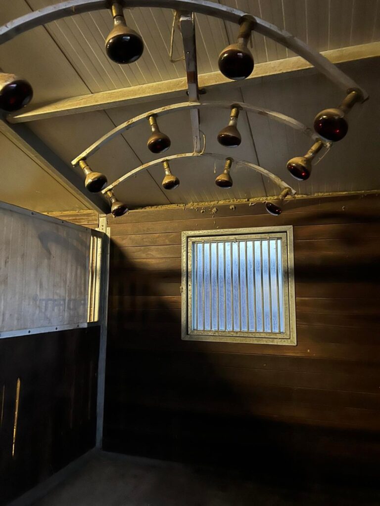 Autors: Foto: No personīgā arhīva