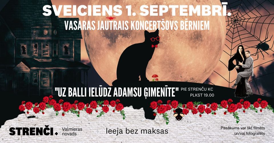 Aluksniesiem.lv raksta attēla aizvietotājs