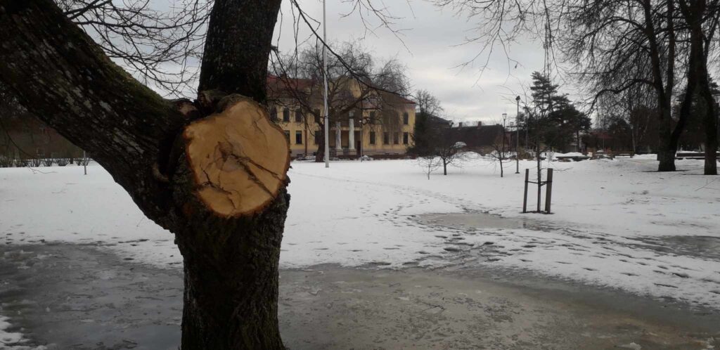 Aluksniesiem.lv raksta attēla aizvietotājs