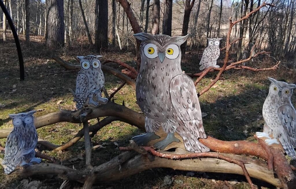 Aluksniesiem.lv raksta attēla aizvietotājs