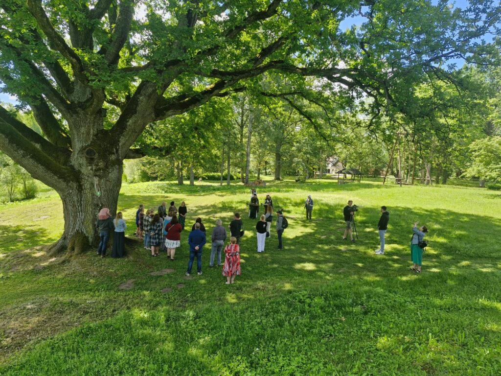 Aluksniesiem.lv raksta attēla aizvietotājs