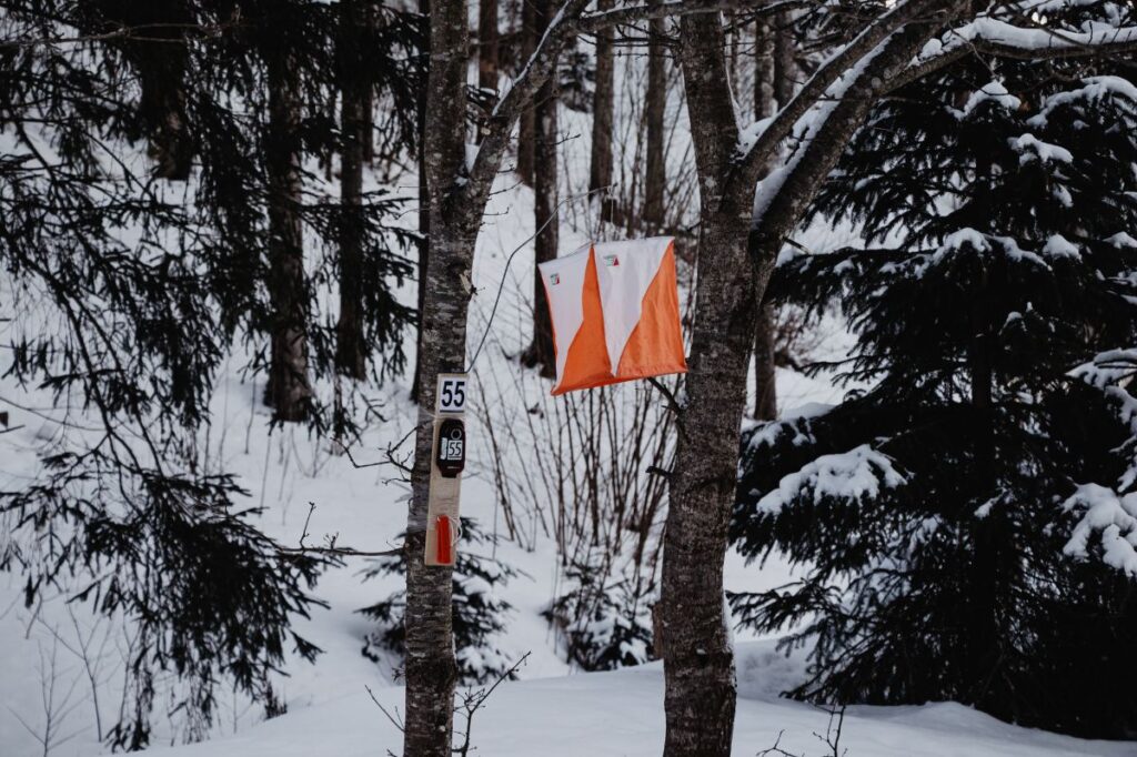 Autors: Foto: Zanda Stabiņa