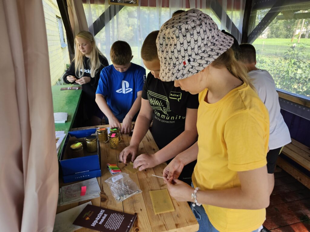 5.b klases bērni izpēta ziedputekšņus un veido sveci no vaska plāksnes.