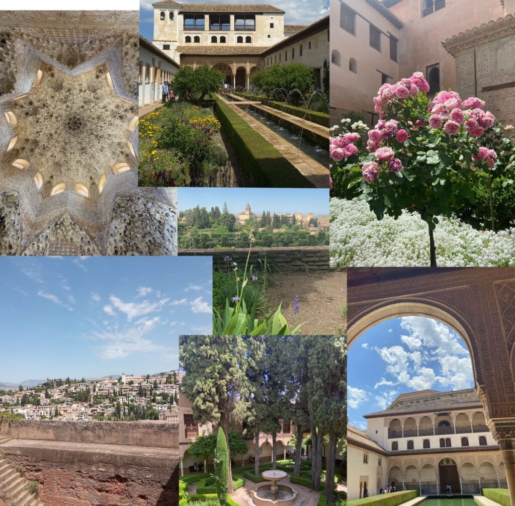 Autors: Foto: D.Pakalne