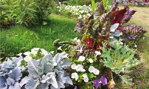 Redzot starp puķēm dārzeņus un garšaugus, nākas aizdomāties, vai arī savas pilsētas puķu dobē varētu ko tādu izveidot.