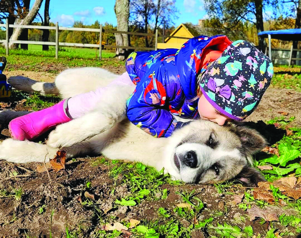 Aluksniesiem.lv raksta attēla aizvietotājs
