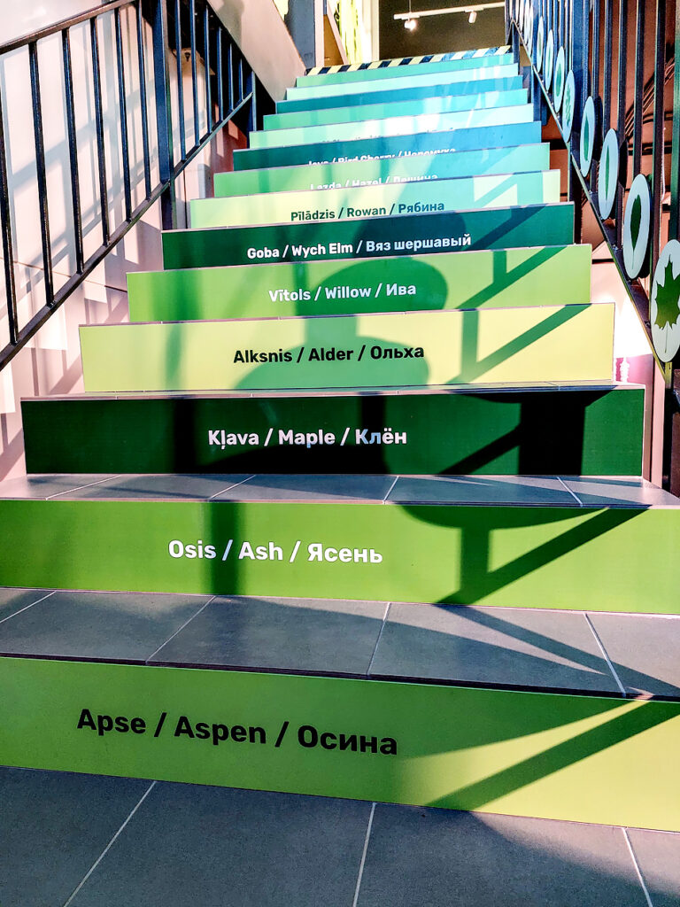 Vides izglītības centrā "Botania" viss ir izzinošs.