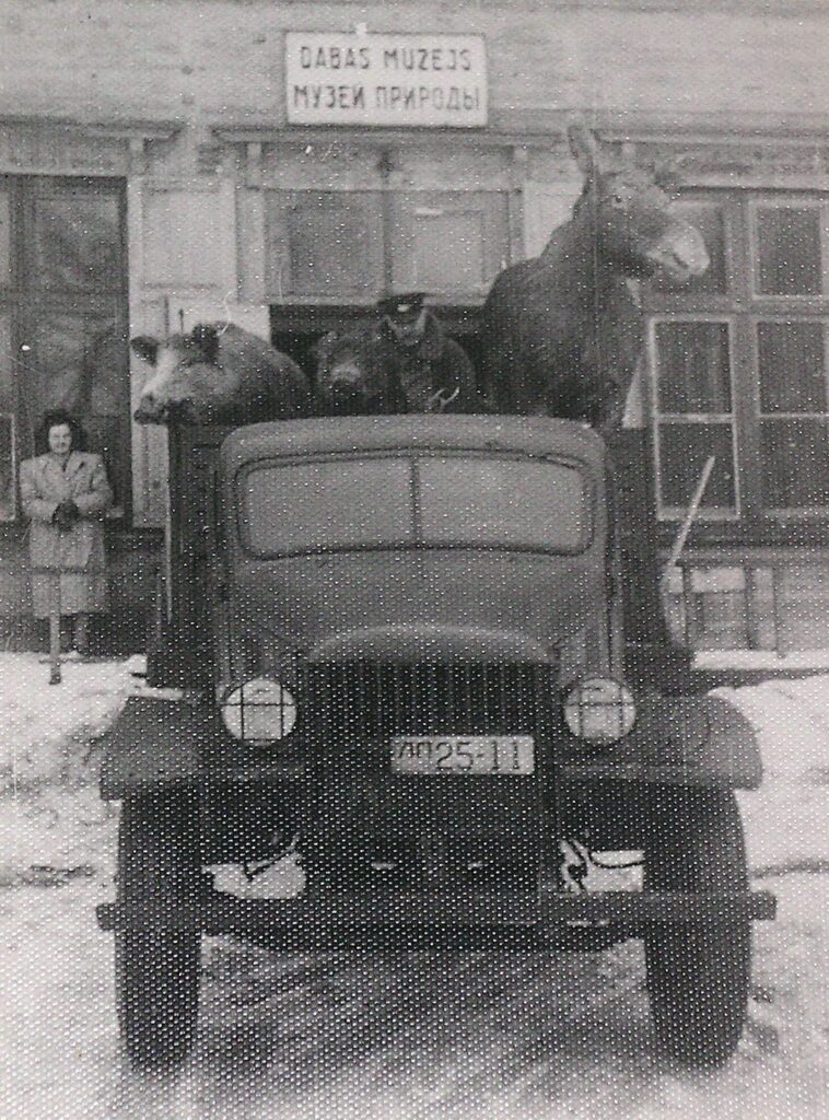 Autors: Foto: No Latvijas Nacionālajā dabas muzeja fonda