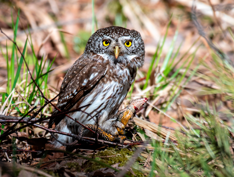 Autors: Foto: Iveta Pērkone