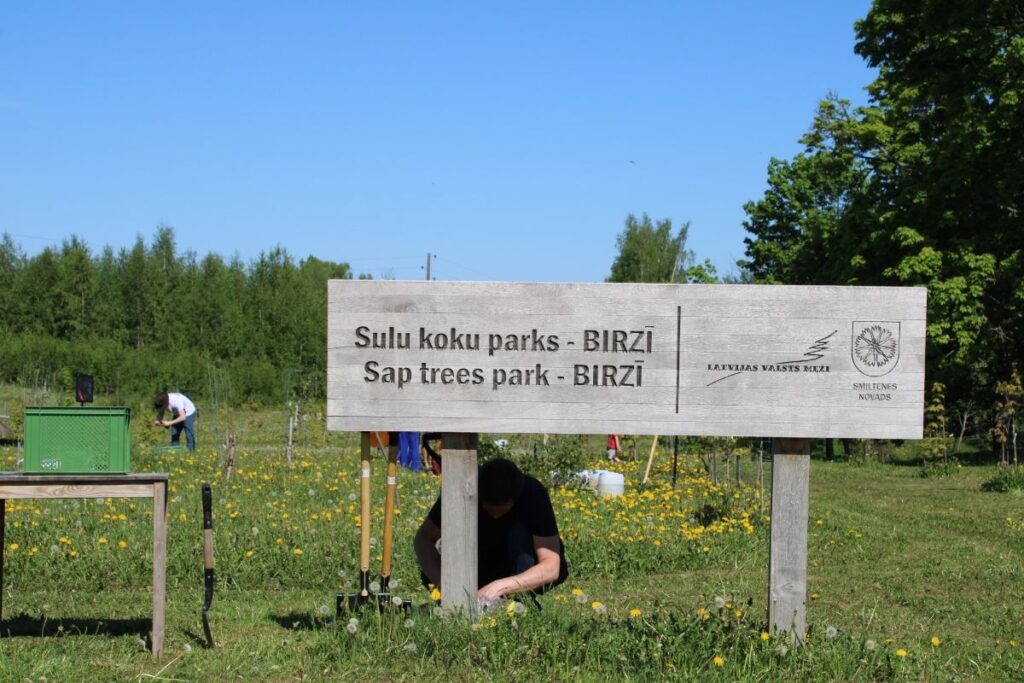 Aluksniesiem.lv raksta attēla aizvietotājs