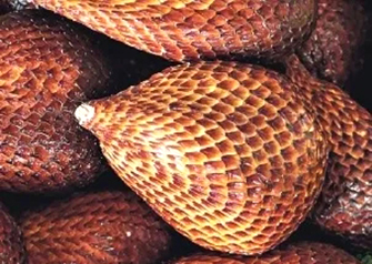 ČŪSKAS ādas auglis – tāds tas arī izskatās. Garša – saldskāba.