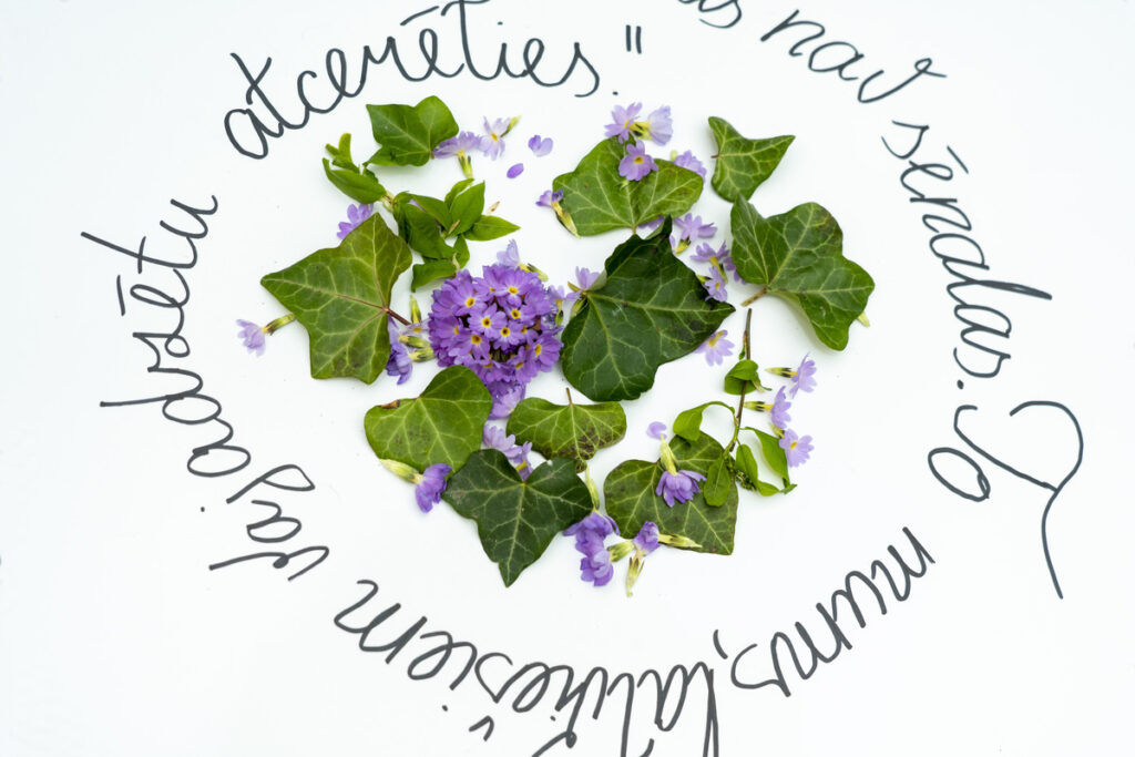 Autors: Foto: Jānis Ūdris