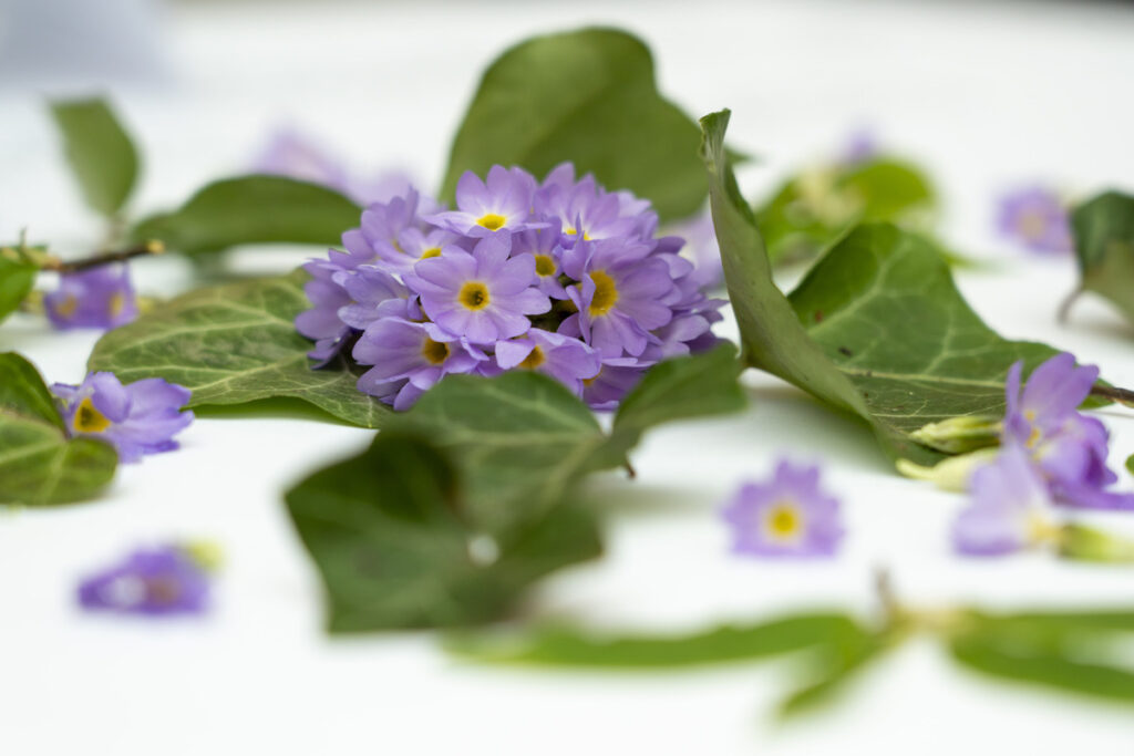 Autors: Foto: Jānis Ūdris