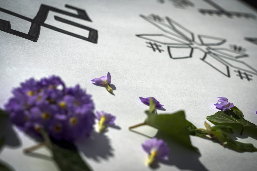 Autors: Foto: Jānis Ūdris