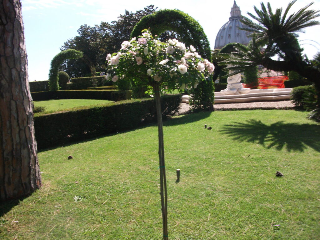  Kā Dieva sargs no rožu dārza redzams arī bazilikas kupols.