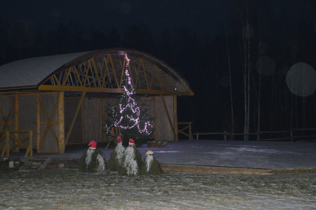 Aluksniesiem.lv raksta attēla aizvietotājs