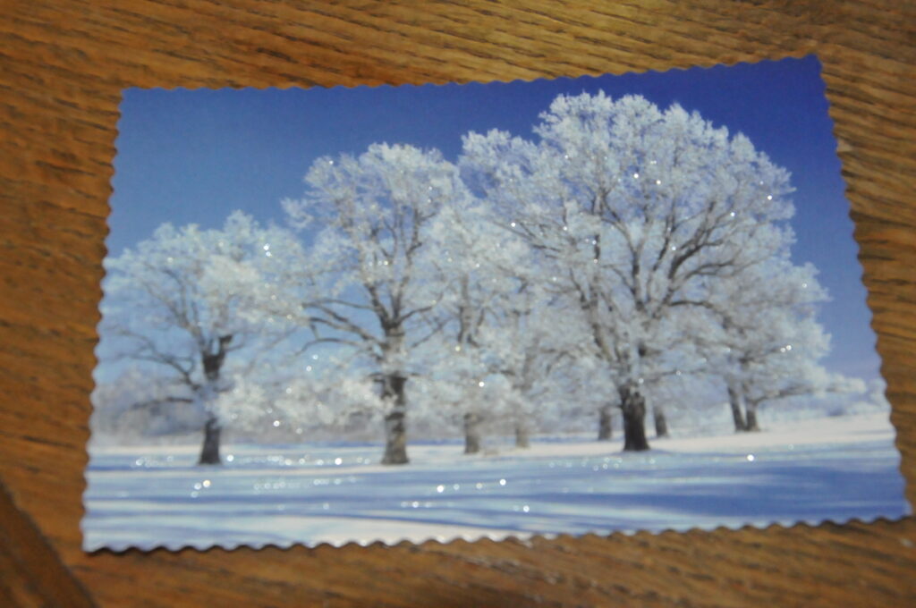 Autors: Foto: Inga Karpova