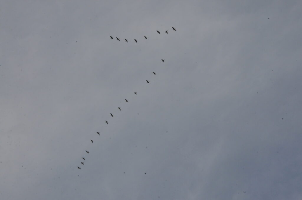 Autors: Foto: Inga Karpova