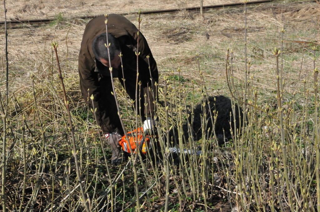 Autors: Foto: Inga Karpova
