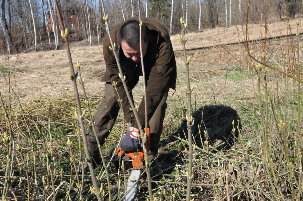 Autors: Foto: Inga Karpova