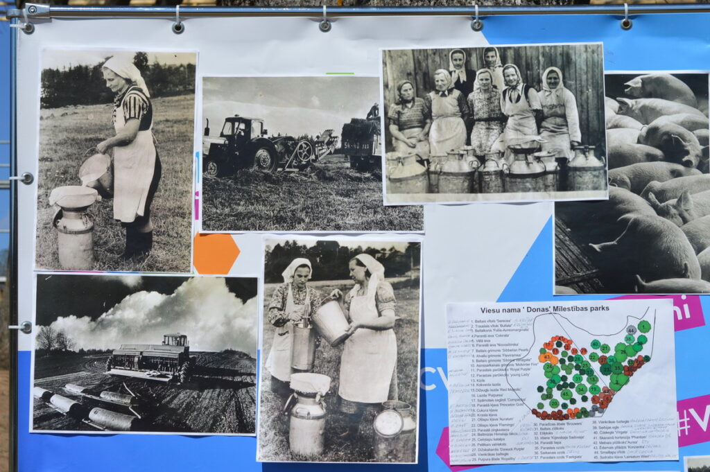 Autors: Foto: Sandra Pētersone