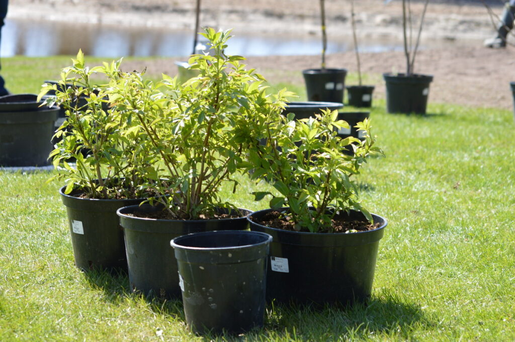 Autors: Foto: Sandra Pētersone