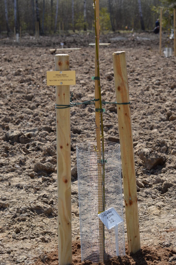 Autors: Foto: Sandra Pētersone