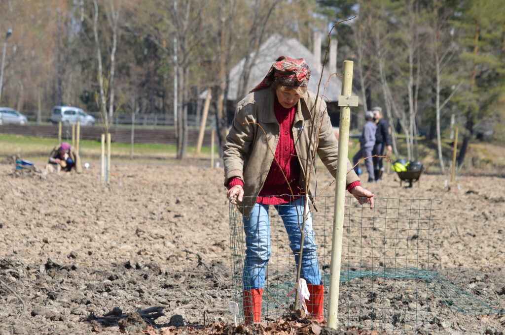 Autors: Foto: Sandra Pētersone