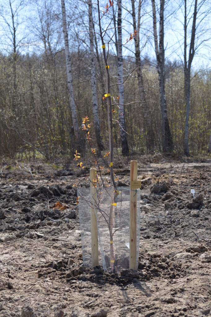 Autors: Foto: Sandra Pētersone