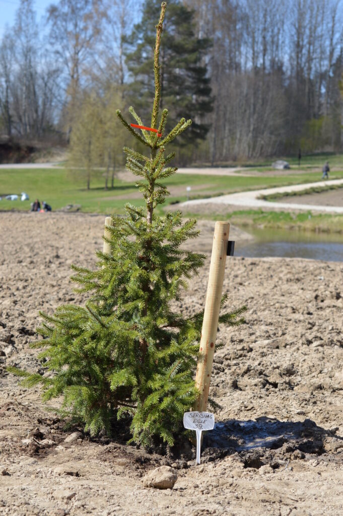 Autors: Foto: Sandra Pētersone