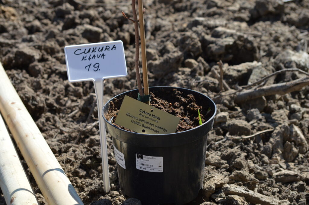 Autors: Foto: Sandra Pētersone