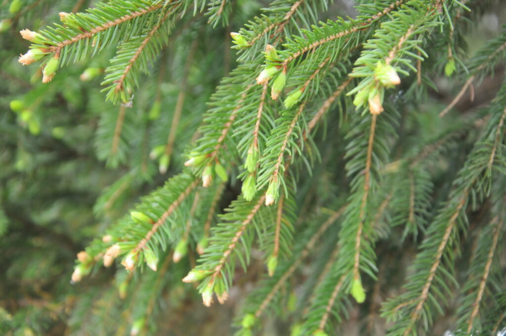 Autors: FOTO: Inga Karpova