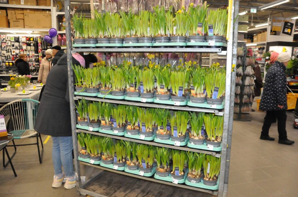 Autors: Foto: Inga Karpova