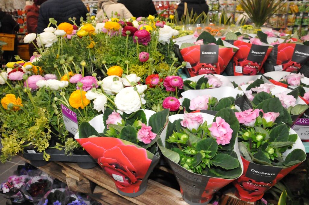 Autors: Foto: Inga Karpova