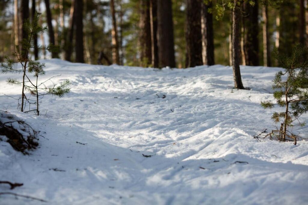 Autors: Foto: Sergejs Sokolovs