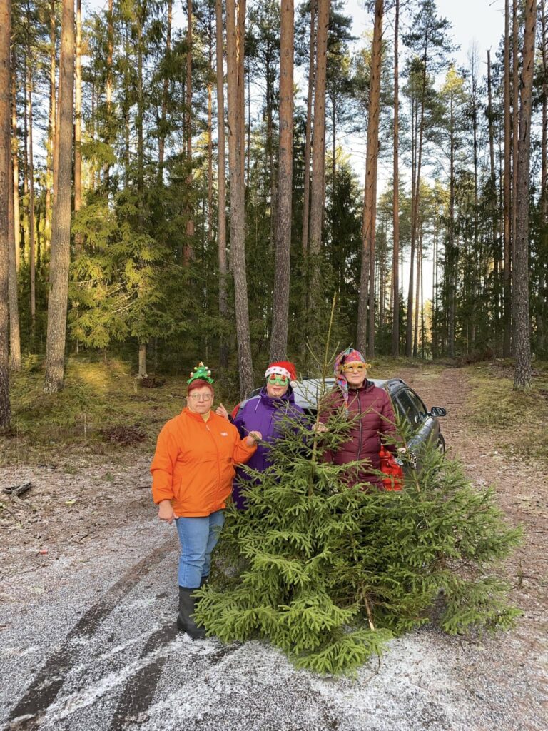 Inga. Cik labi, ka ir uzticami draugi, ar kuriem braukt uz mežu pēc eglītes.