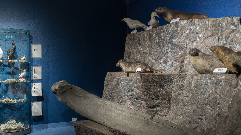 Autors: Foto: Dabas muzejs