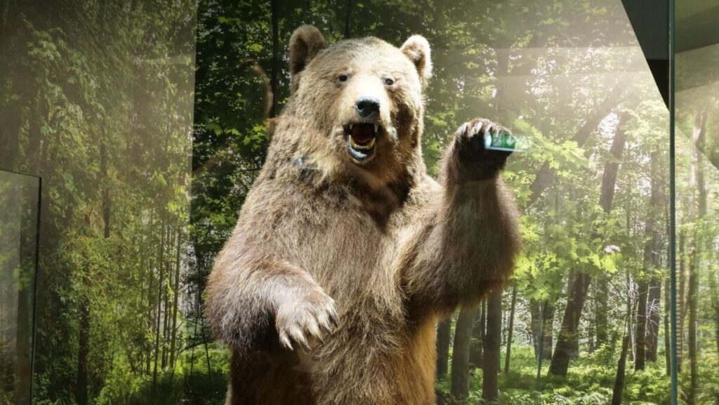 Autors: Foto: Dabas muzejs