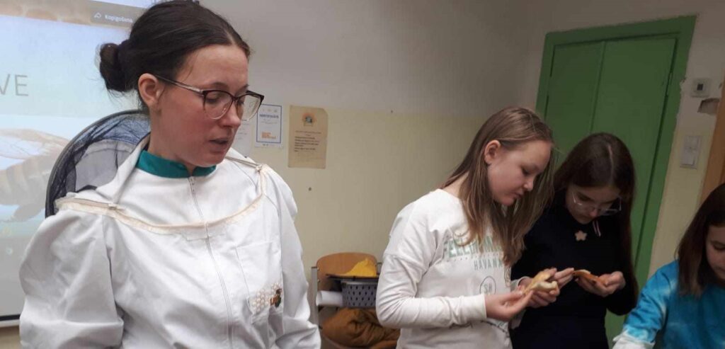 Aluksniesiem.lv raksta attēla aizvietotājs